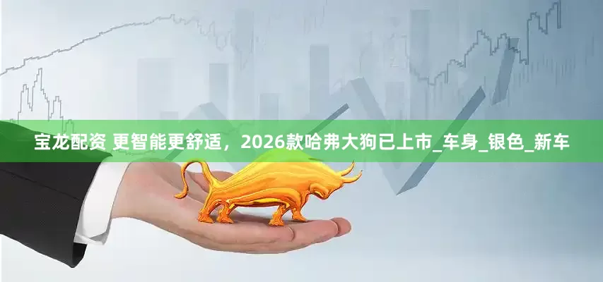 宝龙配资 更智能更舒适，2026款哈弗大狗已上市_车身_银色_新车