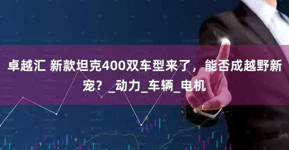 卓越汇 新款坦克400双车型来了，能否成越野新宠？_动力_车辆_电机