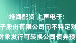 维海配资 上声电子: 苏州上声电子股份有限公司向不特定对象发行可转换公司债券预案（修订稿）